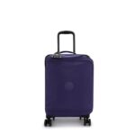 Spontaneous Small Rolling Luggage