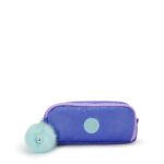 Gitroy Metallic Pencil Case