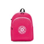 Curtis Large 17 Laptop Backpack